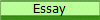 Essay