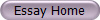 Essay Home